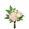 Best deal 🎁 Sullivans Peony Bush 🎉 -Sullivans Sales unnamed file 7365