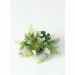 Deals 🥰 Sullivans Foliage Succulent Berry 1 2 Or - Green 🔥