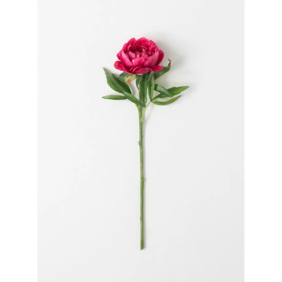 Best Pirce โค๏ธ Sullivans Real Garden Peony Stem - 6"L X 5.25"W X 24"H ๐ 3 Best Pirce โค๏ธ Sullivans Real Garden Peony Stem - 6"L X 5.25"W X 24"H ๐