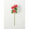 Cheap 🌟 Sullivans Fuchsia Poinsettia Stem - 7"L X 6"W X 25"H ❤️ -Sullivans Sales unnamed file 7376