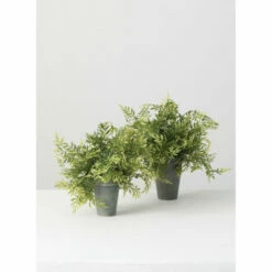 Best Sale ✨ Sullivans Wisteria Potted -Set Of 2 - Green 🥰