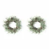 New 🎁 Sullivans 24" Artificial Cedar & Pine Wreath - Set Of 2 😍