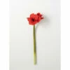 Hot Sale โจ Sullivans Amaryllis Stem - 7"L X 6"W X 28"H ๐ 2 Hot Sale โจ Sullivans Amaryllis Stem - 7"L X 6"W X 28"H ๐ -Sullivans Sales unnamed file 7479
