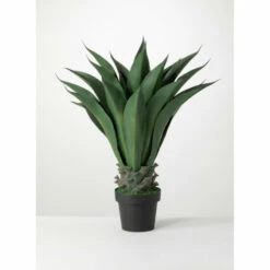 Outlet 🛒 Sullivans Potted Agave - Green 🧨