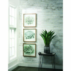 Outlet 🛒 Sullivans Potted Agave - Green 🧨 -Sullivans Sales unnamed file 7494