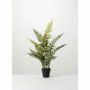 Flash Sale ❤️ Sullivans Potted Fern - Green 🎉 -Sullivans Sales unnamed file 7496
