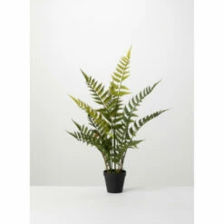 Flash Sale ❤️ Sullivans Potted Fern - Green 🎉