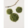 Outlet 🥰 Sullivans Mossy Orbs - Set Of 3 💯 -Sullivans Sales unnamed file 7508