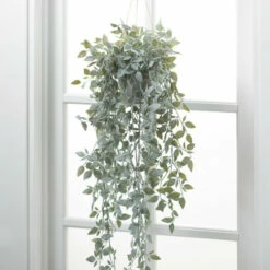 Hot Sale 💯 Sullivans Artificial Potted Dusty Green Vine ❤️ -Sullivans Sales unnamed file 7511