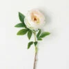 Buy 👏 Sullivans Artificial Soft-White & Pink Peony Stem 🥰 -Sullivans Sales unnamed file 7512