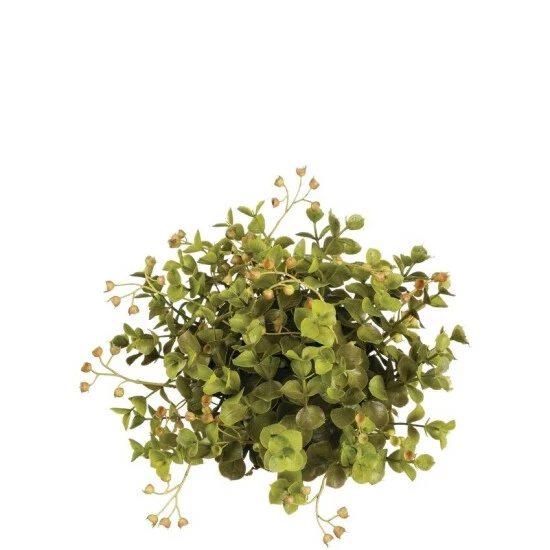 Buy ๐งจ Sullivans Eucalyptus Half Orb - Green ๐ฅ 3 Buy ๐งจ Sullivans Eucalyptus Half Orb - Green ๐ฅ