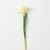 Brand new 😀 Sullivans Artificial Ivory Blooming Iris Stem 😉 -Sullivans Sales unnamed file 7522