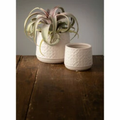 Best Sale 💯 Sullivans Planter - Set Of 2 ✨ -Sullivans Sales unnamed file 844