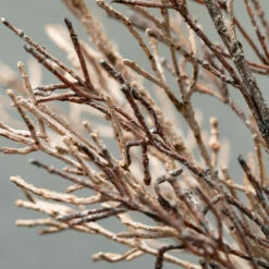 Coupon ⭐ Sullivans Artificial Faux Dried Decorative Branch - Set Of 2 🔥 -Sullivans Sales unnamed file 853