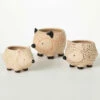 Best Pirce 🎉 Sullivans Kitschy Hedgehog Ceramic Planter - Set Of 3 🎉 -Sullivans Sales unnamed file 943