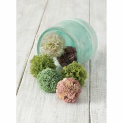 Buy ❤️ Sullivans Moss Box 3 Orbs - Green ⭐ -Sullivans Sales unnamed file 960