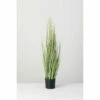Top 10 🔥 Sullivans Potted Onion Grass - Green 🧨 -Sullivans Sales unnamed file 997