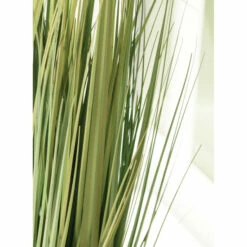 Top 10 🔥 Sullivans Potted Onion Grass - Green 🧨 -Sullivans Sales unnamed file 998